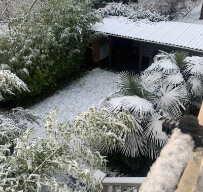 Chambre dans une maison