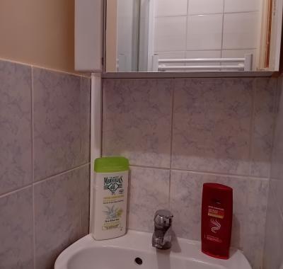 Chambre à louer avec salle de douche