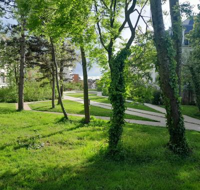 Chambre rénovée + jardin et parc de 24 hectares