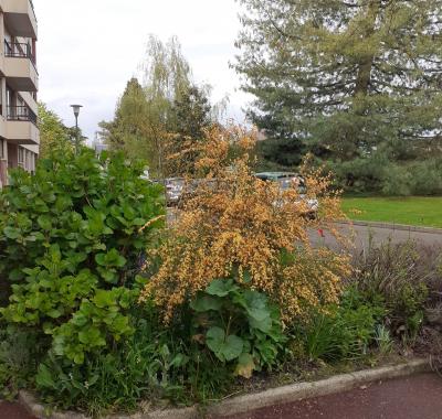 POUR VOUS LES FILLES EDUDIANTES EMPLOYEES STAGIERES