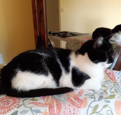 POUR VOUS LES FILLES EDUDIANTES EMPLOYEES STAGIERES