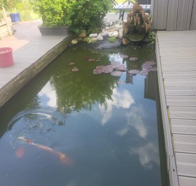 Chambre a louer chez l habitant