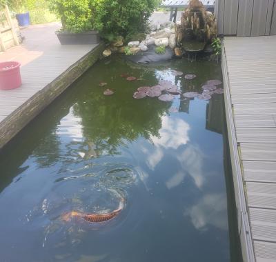 Chambre a louer chez l habitant