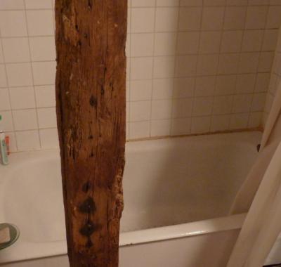 Chambre à Louer Centre Ville Limoges