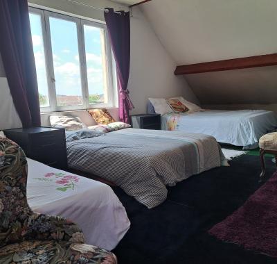 RENTING DORMITORY 12 PERSONS