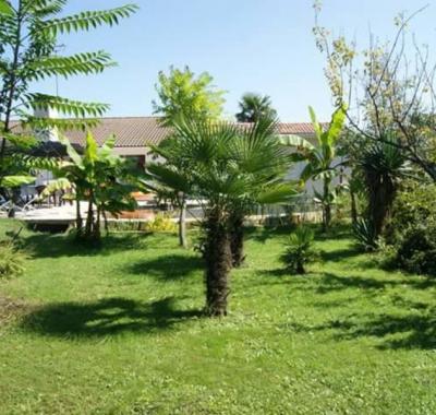 Chambre "jaune soleil" colocation