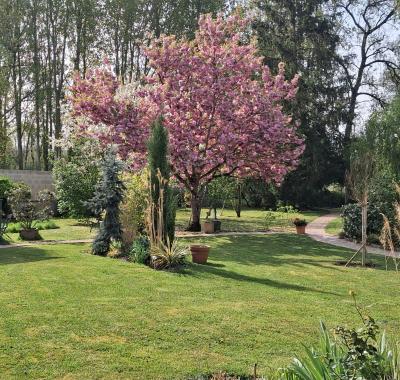 Chambre meublée pour professionnel ou pour faire une étape