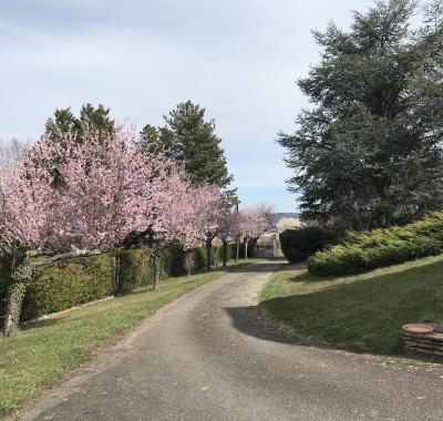 Colocation Villa - Parc - Piscine - Vue - Garage