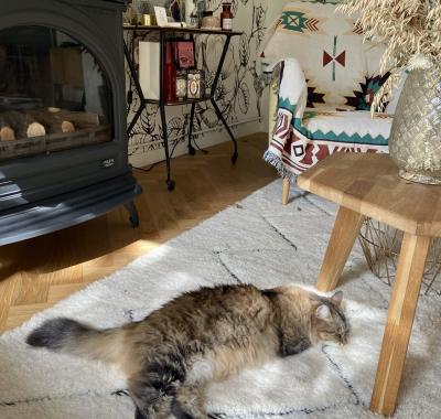 Chambre cosy et calme dans maison