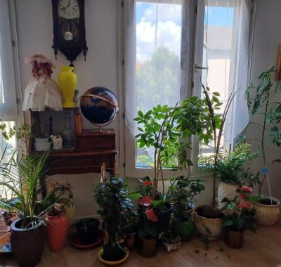 CHAMBRE DANS UNE VILLE CALME ET VERDOYANTE