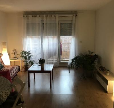 Agréable chambre à louer dans appartement spacieux et lumineux