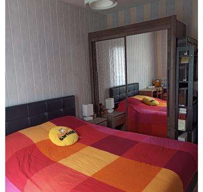 Chambre chez l’habitant à Bourges avec 4 chats