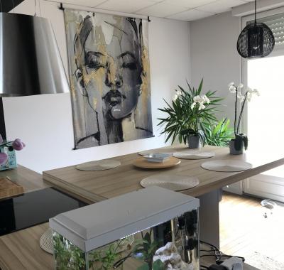 Chambre 18 m2 + balcon 5 m2 à louer à carcassonne