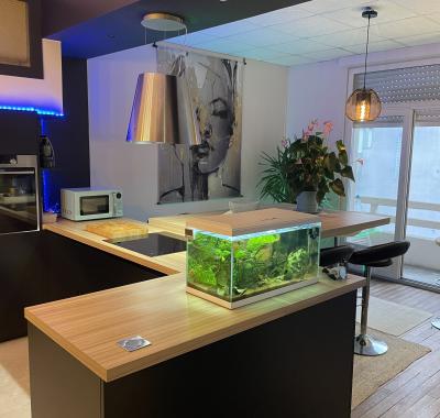 Chambre 18 m2 + balcon 5 m2 à louer à carcassonne