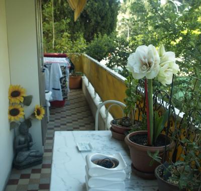 Chambre à louer à Nice