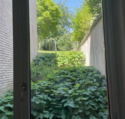 Chambre dans grande maison / jardin