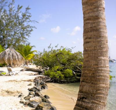 Meublé à louer au bord de la mer