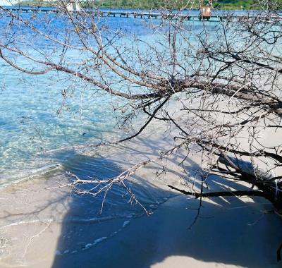 Meublé à louer au bord de la mer
