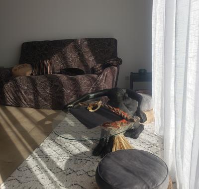 Chambre chez l'habitant Proche Béziers