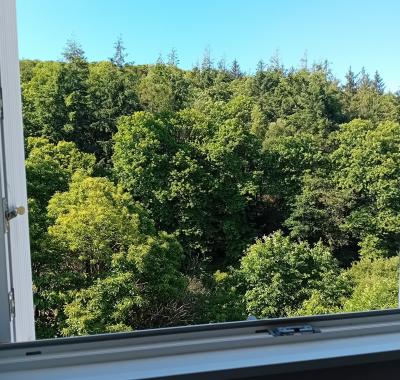 Chambre chez l'habitant à Plonéis entre Quimper et Douarnenez