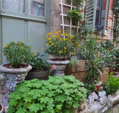 Maison entière 3 chambres