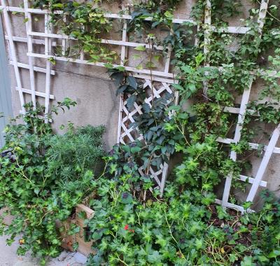 Maison entière 3 chambres