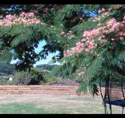Chambre meublée à louer à Sarlat (24)