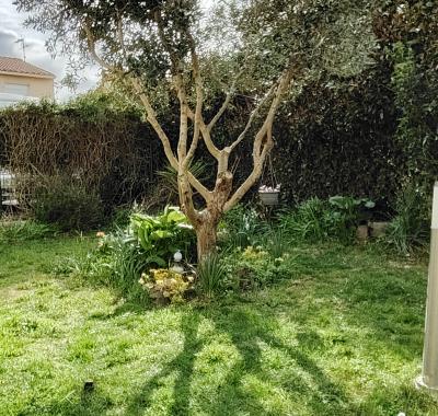 Chambre à louer avec accès partager de la maison