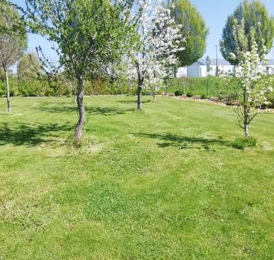 Chambre a louer chez l habitant