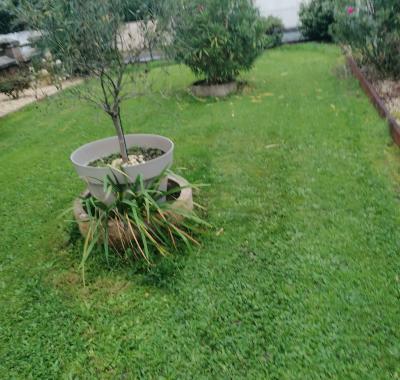 Chambre a louer chez l habitant