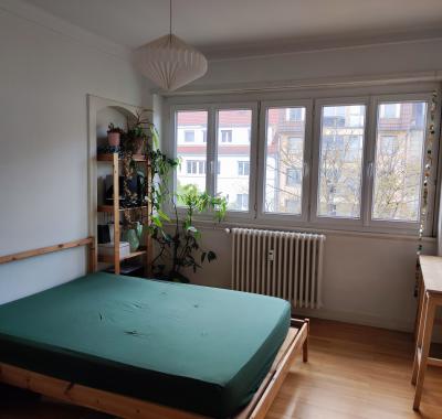 Chambre double dans appartement