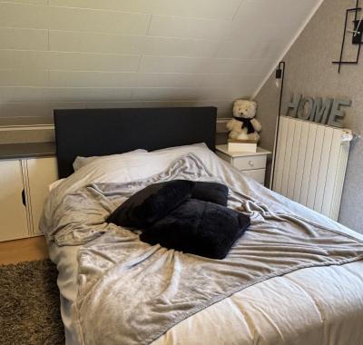 Chambre moderne confortable