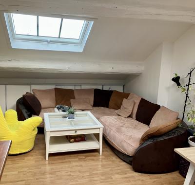 T2 hyper centre atypique Fête des lumières - 3 personnes / Cordeliers