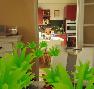 Chambre étudiante à Morangis (91) proche Massy/Paris