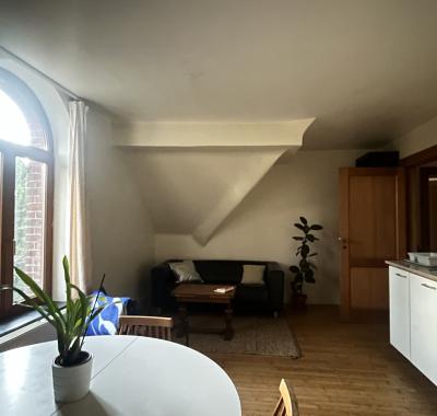 Chambre à louer dans manoir bruxellois