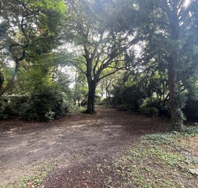 Chambre à louer dans manoir bruxellois