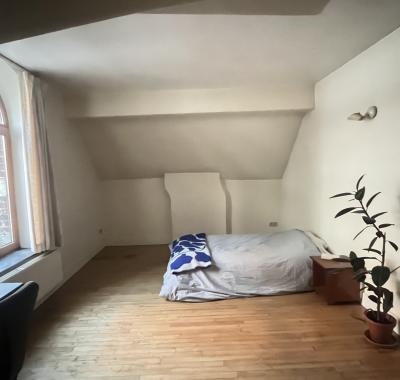 Chambre à louer dans manoir bruxellois
