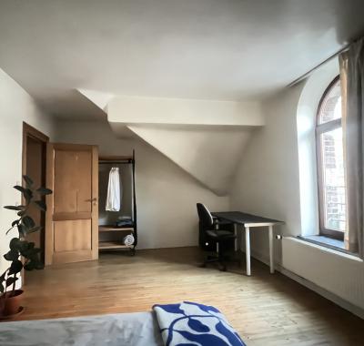 Chambre à louer dans manoir bruxellois