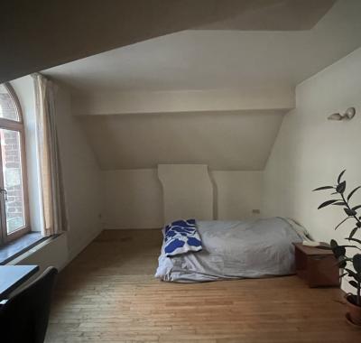 Chambre à louer dans manoir bruxellois