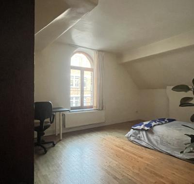 Chambre à louer dans manoir bruxellois