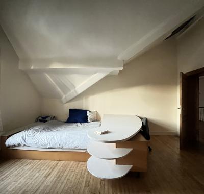 Chambre à louer dans manoir bruxellois