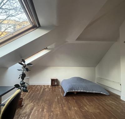 Chambre à louer dans manoir bruxellois