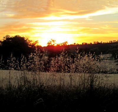 Villefranche de Lauragais (10 mn) appartement Tournesol - 2 pers