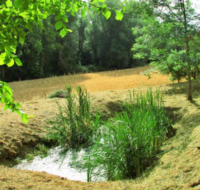 Villefranche de Lauragais (10 mn) 3 chambres - 6 pers