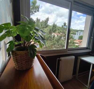 Chambre confortable