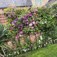 Chambre " Nid Cosy " Charme et Détente chez Fred