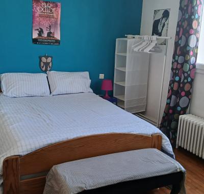 Chambre Bleue chez l'habitant "Le Chat Bleu"