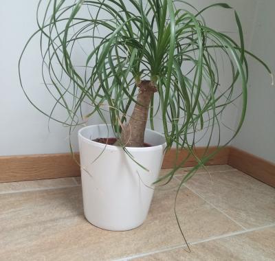 Chambre à louer proche de St Malo et Dinard