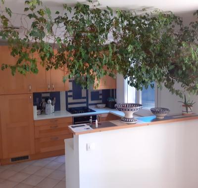 Chambre et SDB à louer