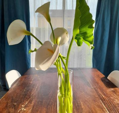 Chambre proche du Port de Dinan